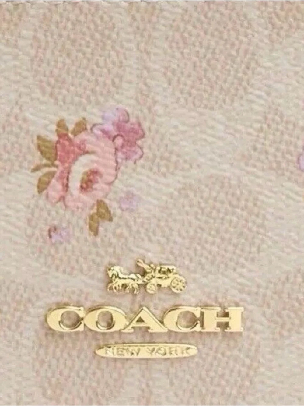 Coach Outlet Cosmetic Case In Floral Signature Canvas NWT